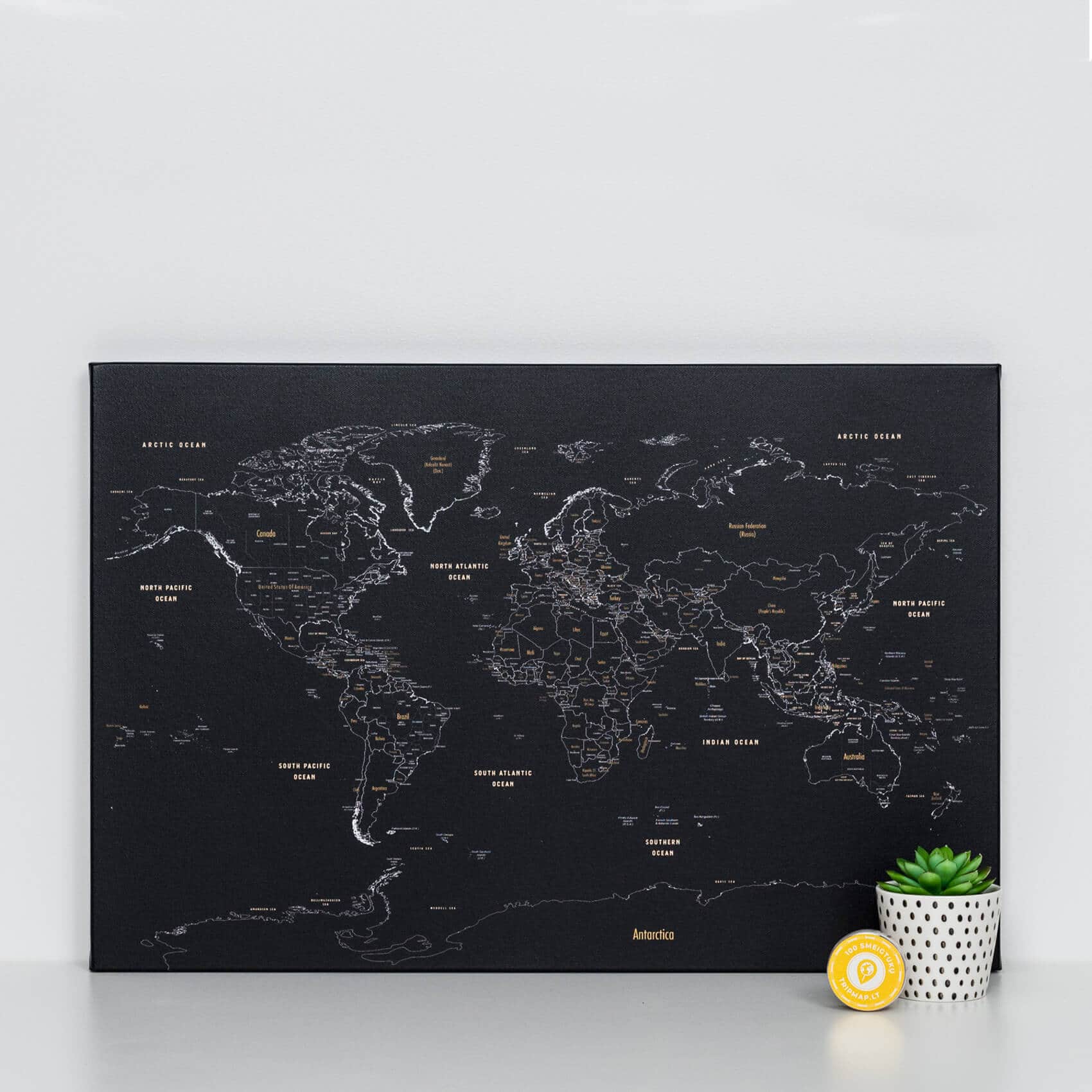 small black push pin map of the world