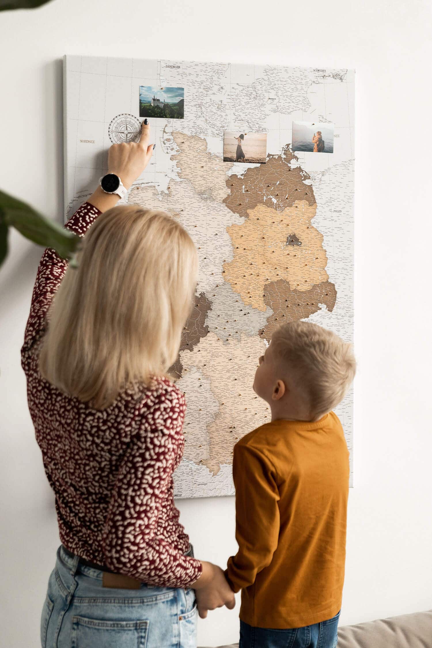 political wall germany map on canvas with pins safari